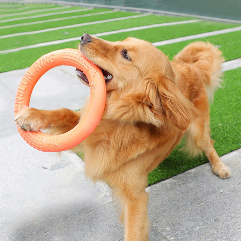 Interactive Squeaky Plush Dog Toy - 1 Stuk Oranje Hond Speelgoed Huisdier