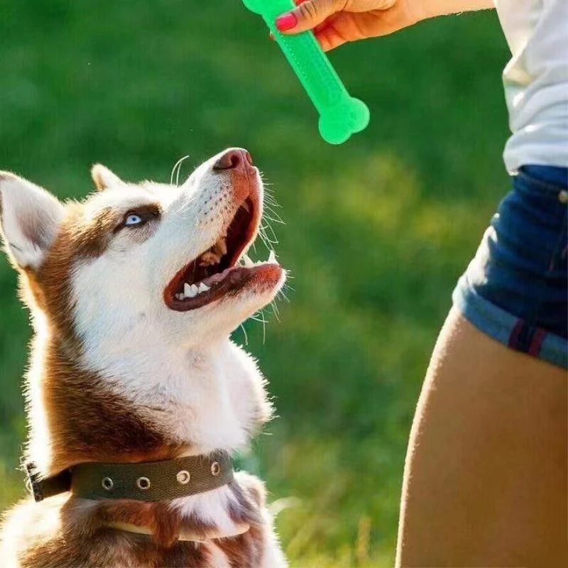 Teeth Cleaning Dog Chew Bone - Supersterk hondenbot kauwspeeltje Regenboog voor agressieve