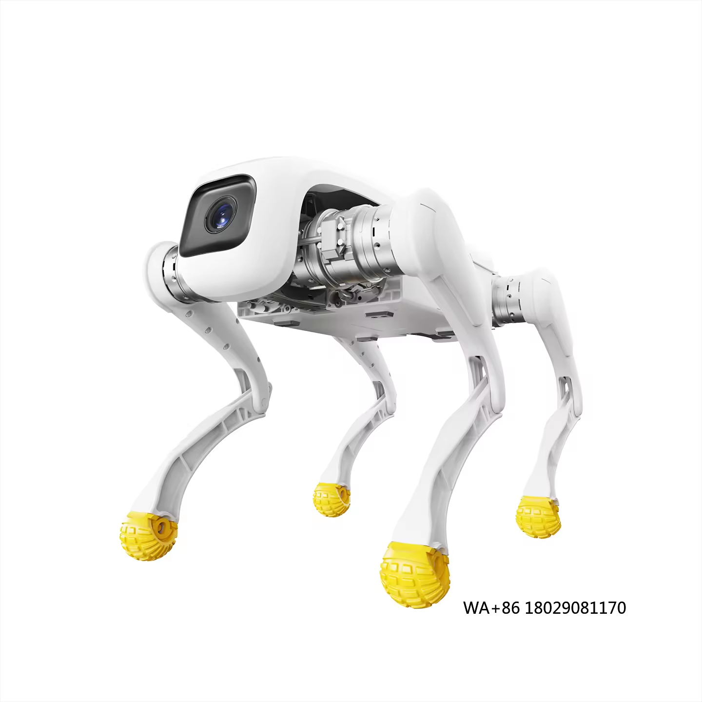 Dog Toys - Ontwerp Hond Robot AI Elektronisch Robotspeelgoed