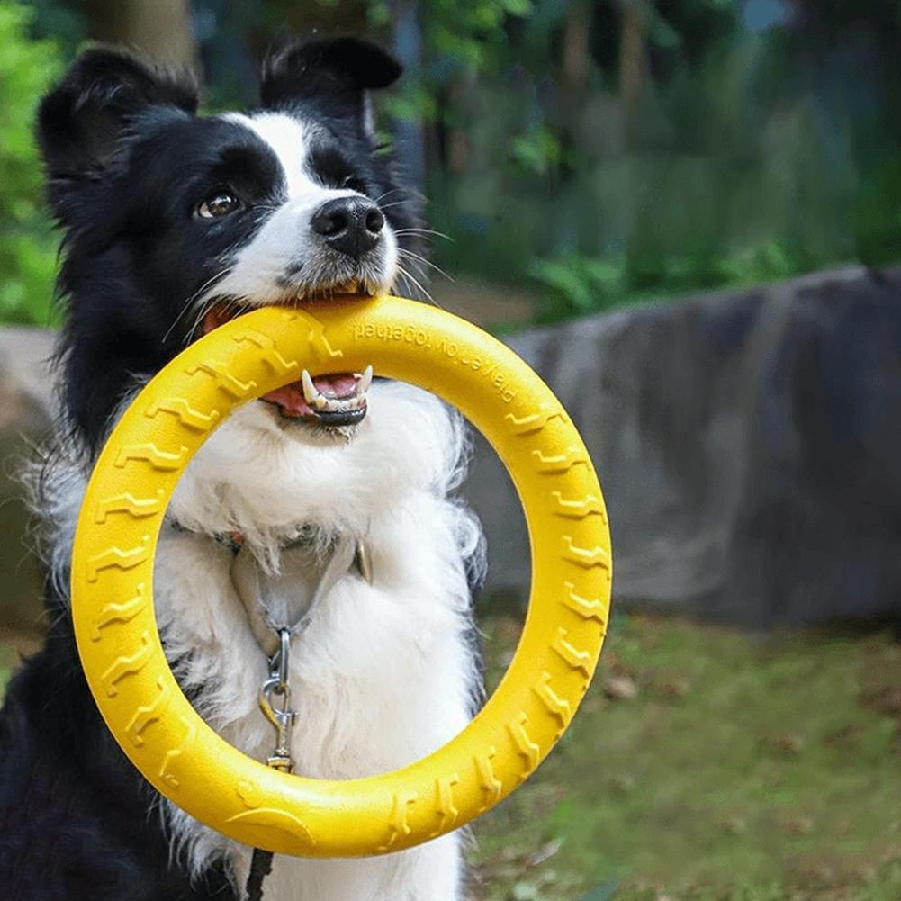 Suction Cup Dog Tug Toy - Hondenring Speelgoed Onverwoestbaar Kauw-, Vlieg- en