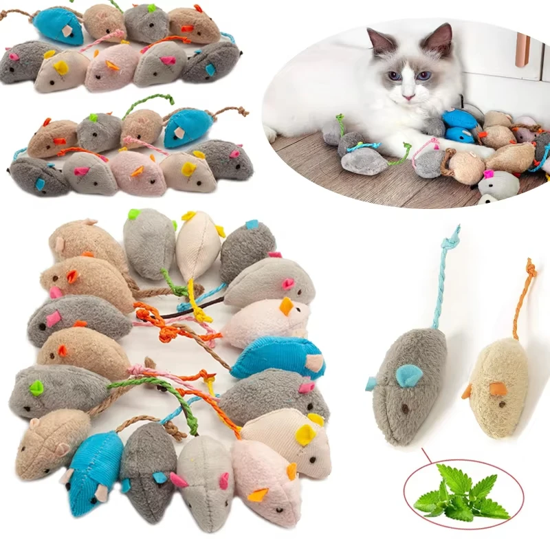 Catnip Interactive Plush Mouse - 5 stuks rammelaar kattenmuizen speelgoed, ook