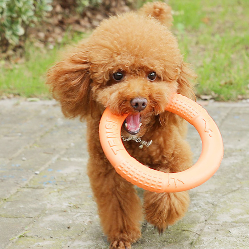 1 Stuk Oranje Hond Speelgoed H - Interactive Squeaky Plush Dog Toy recensie en prijs