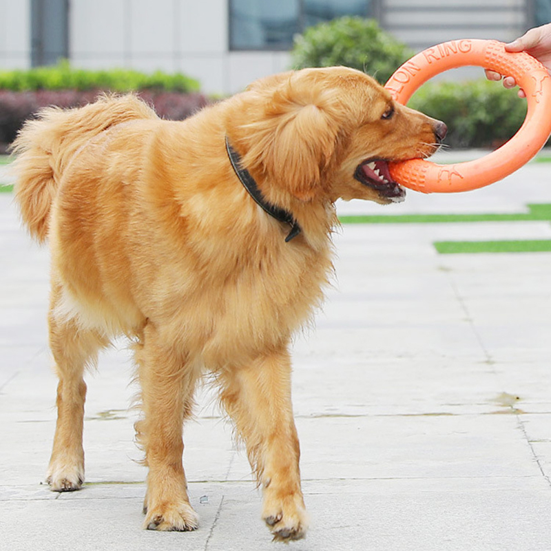 1 Stuk Oranje Hond Speelgoed H - Interactive Squeaky Plush Dog Toy recensie en prijs