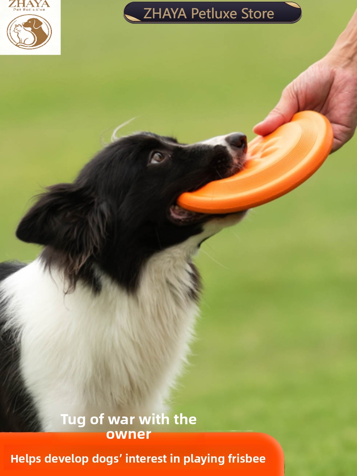 Hondenvliegschijf Zacht Duurza - Flying Disc Dog Training Toy recensie en prijs