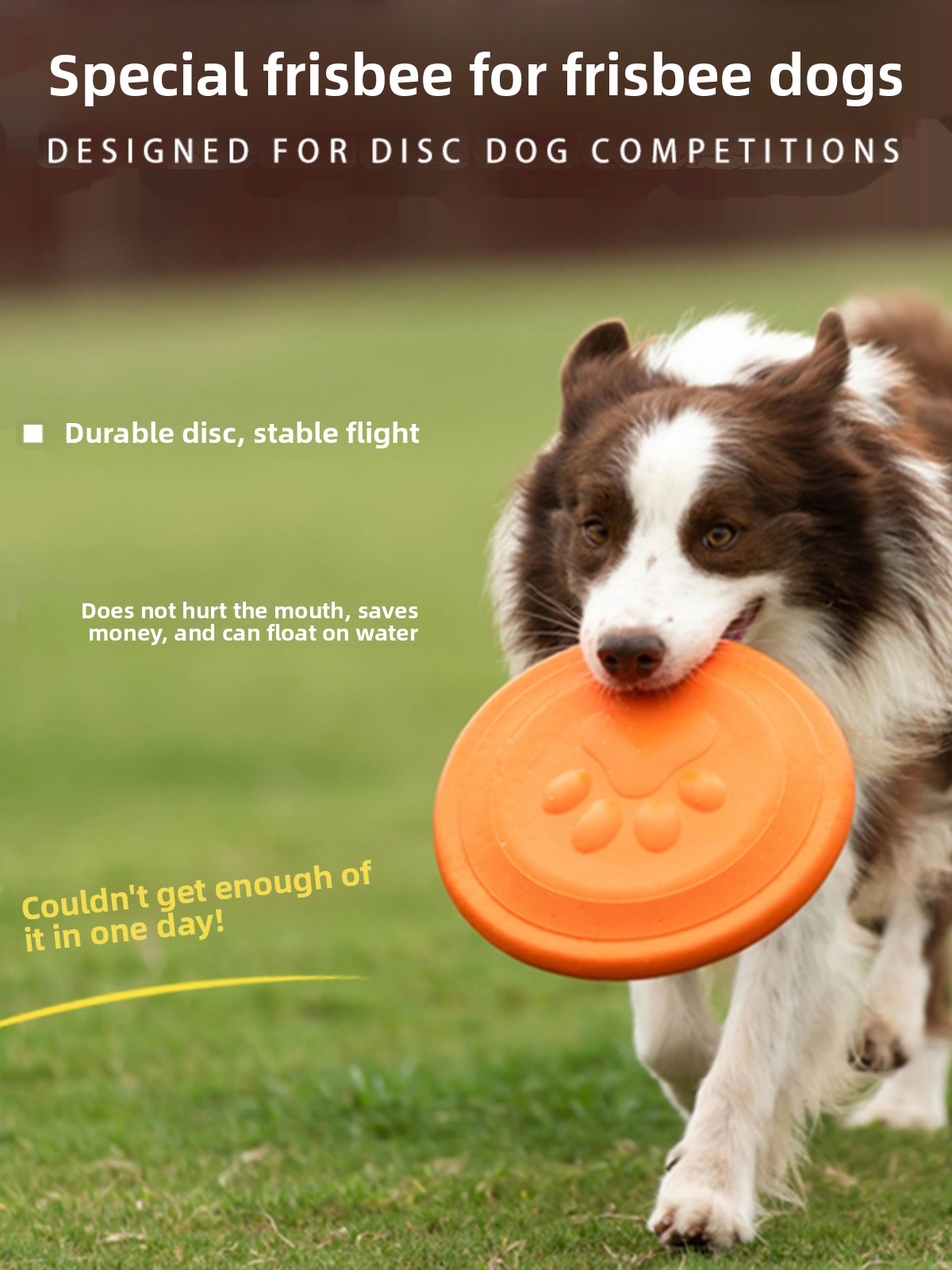 Hondenvliegschijf Zacht Duurza - Flying Disc Dog Training Toy recensie en prijs
