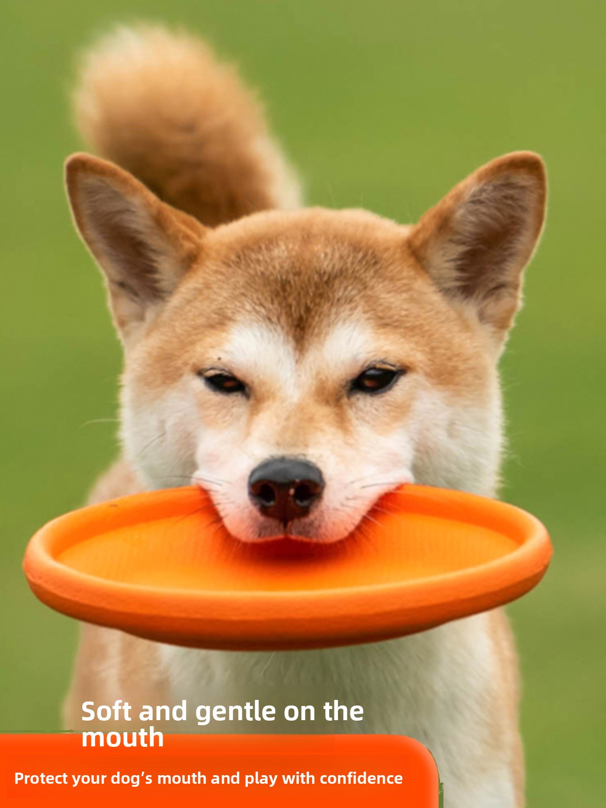 Hondenvliegschijf Zacht Duurza - Flying Disc Dog Training Toy recensie en prijs