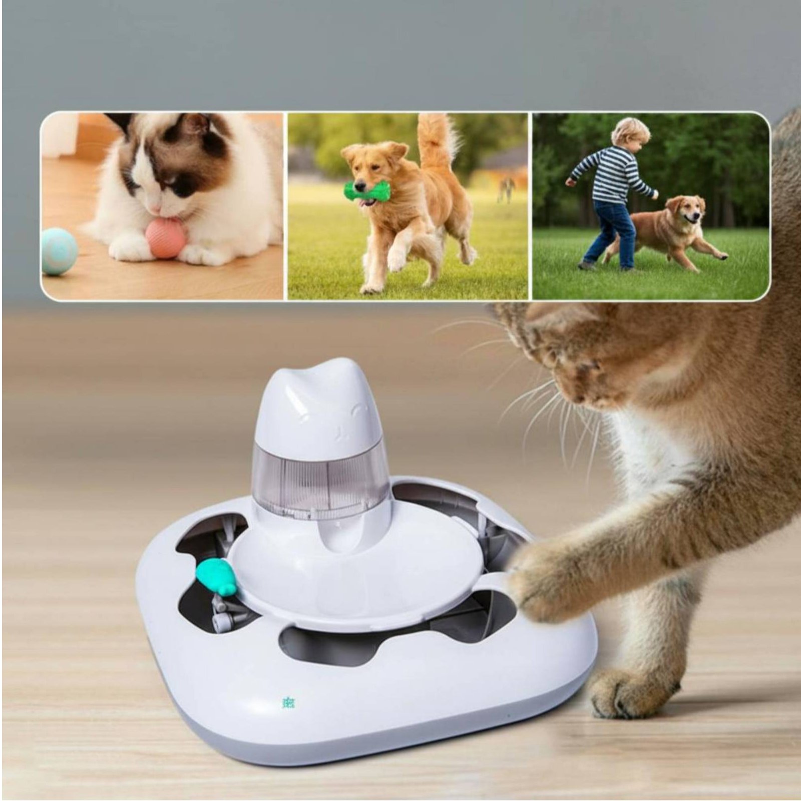 Kattenjachtspelautomaat Intera - Cat Toys recensie en prijs