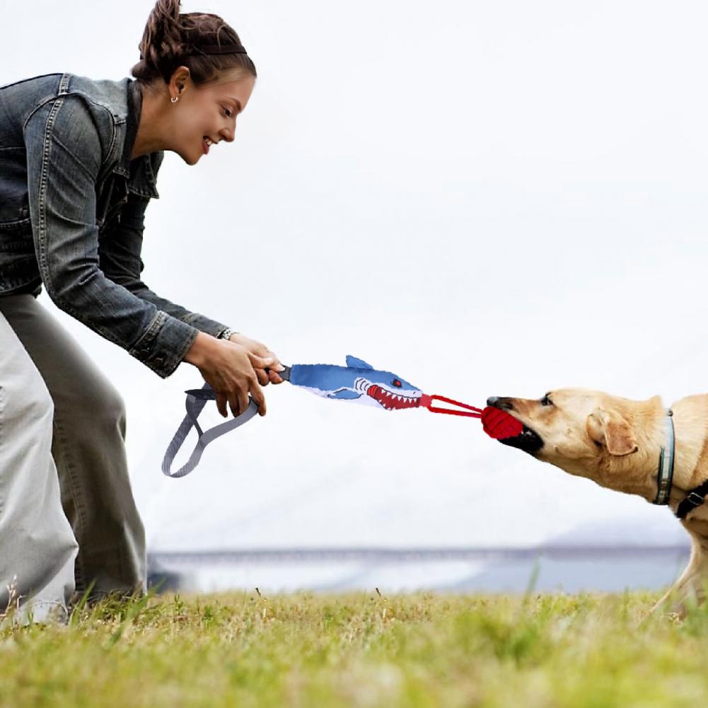 Haaientouwspeelgoed met zuigna - Suction Cup Dog Tug Toy recensie en prijs