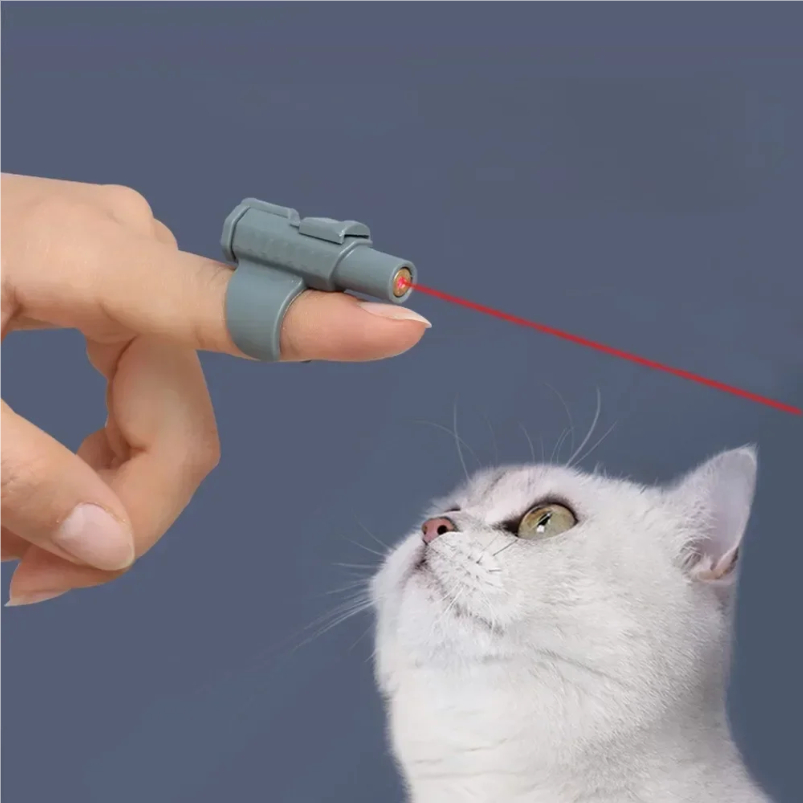 Draagbare Mini Laser Katten Sp - Laser Pointer Cat Toy Automatic recensie en prijs