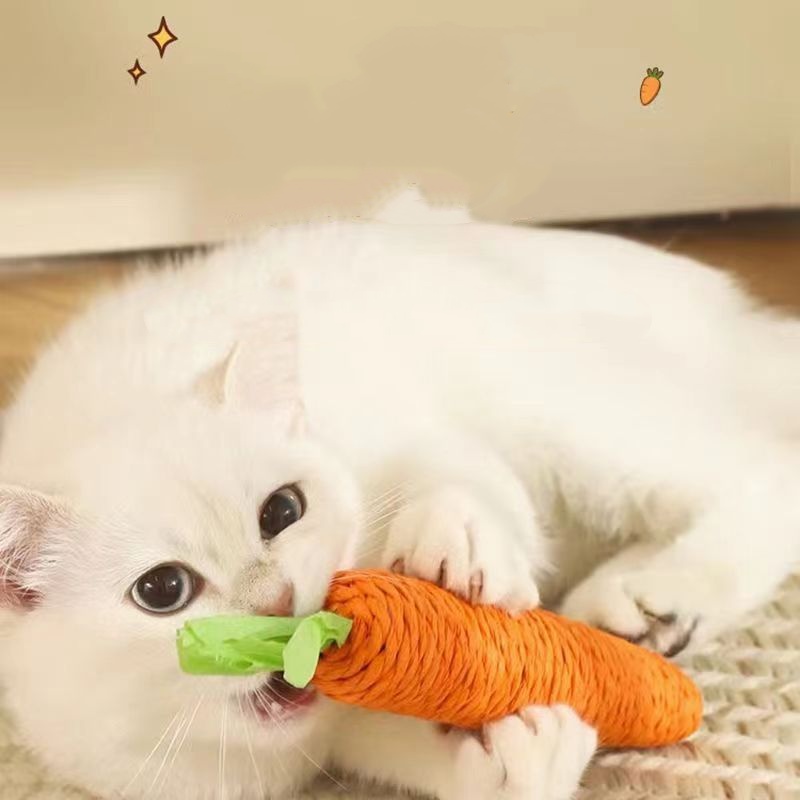 Fun Cat Tandjes Stick Sound Ca - Snuffle Mat For Dogs recensie en prijs