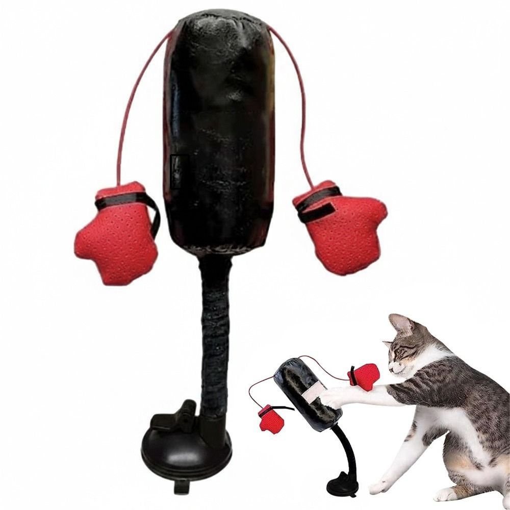 Zuignapvoet Kat Boksspeelgoed  - Interactive Squeaky Plush Dog Toy recensie en prijs