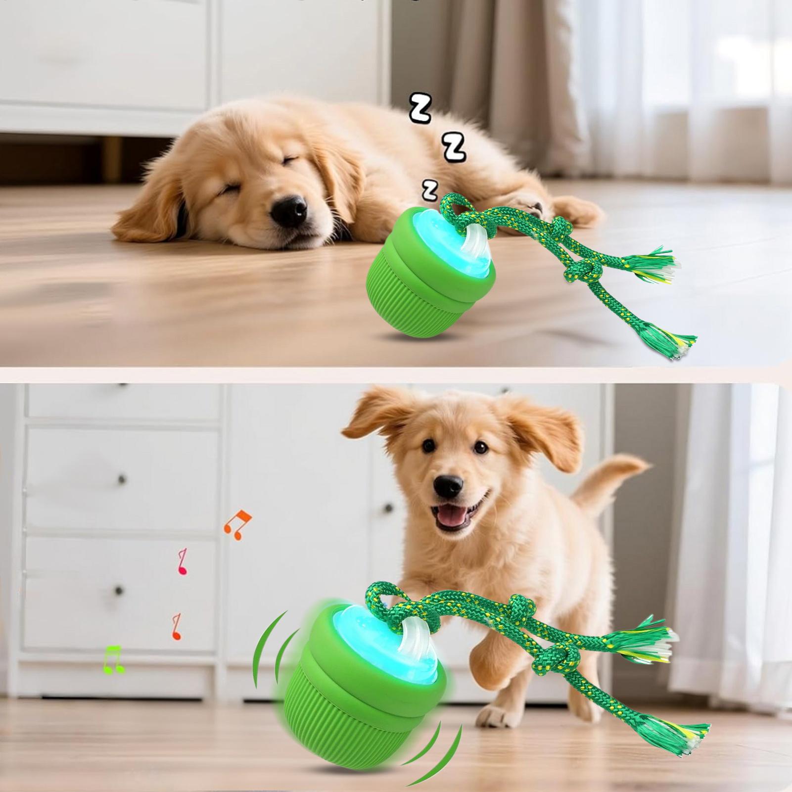 Interactieve hondenbal Automat - Automatic Moving Dog Ball recensie en prijs