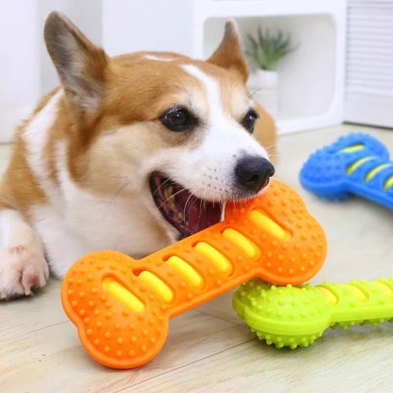 Rubberen bot Hond Molaire Stic - Teeth Cleaning Dog Chew Bone recensie en prijs