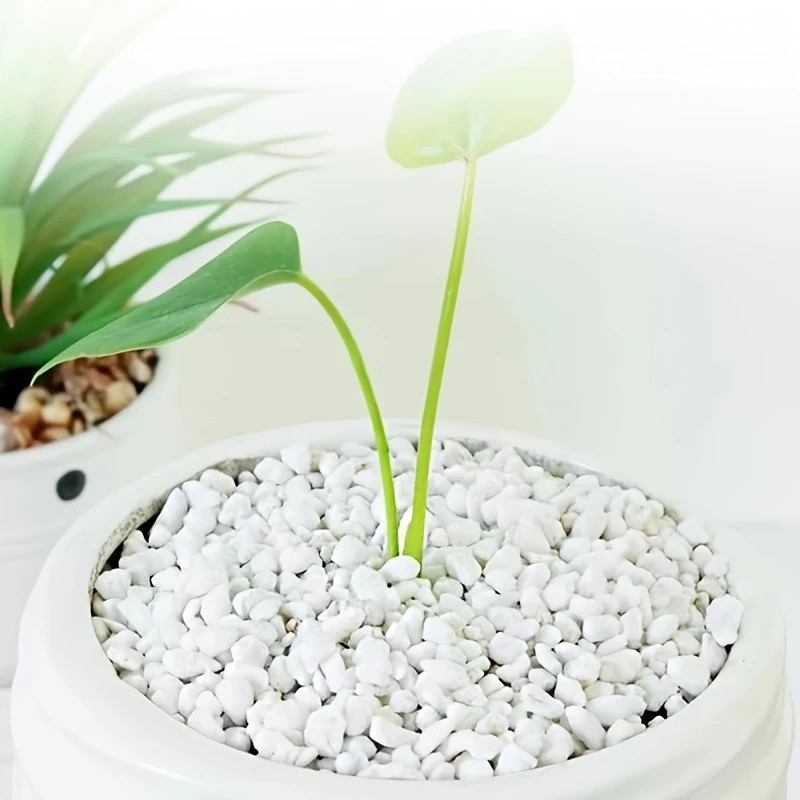 1L hoogwaardige perliet sappig - Pet Beds recensie en prijs