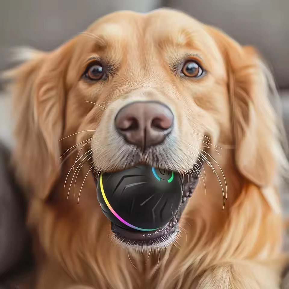 Interactieve slimme hondenspee - Automatic Moving Dog Ball recensie en prijs