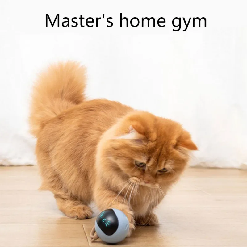 Interactief kattenbalspeelgoed - Automatic Moving Dog Ball recensie en prijs
