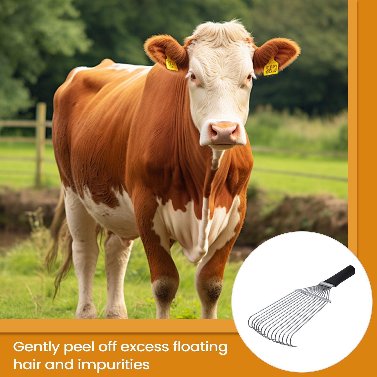 Paardenverzorging Hark Verlies - Pet Grooming recensie en prijs