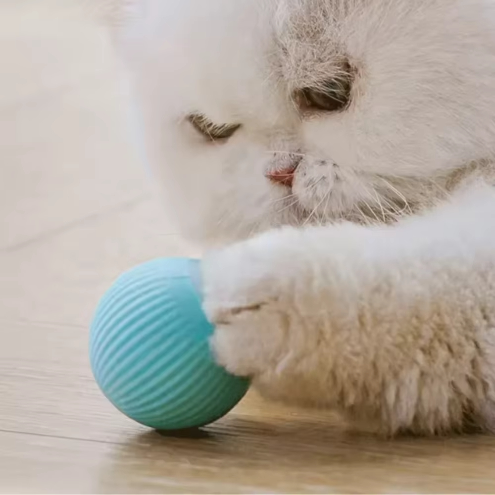 Automatisch bewegende bal voor - Automatic Moving Dog Ball recensie en prijs