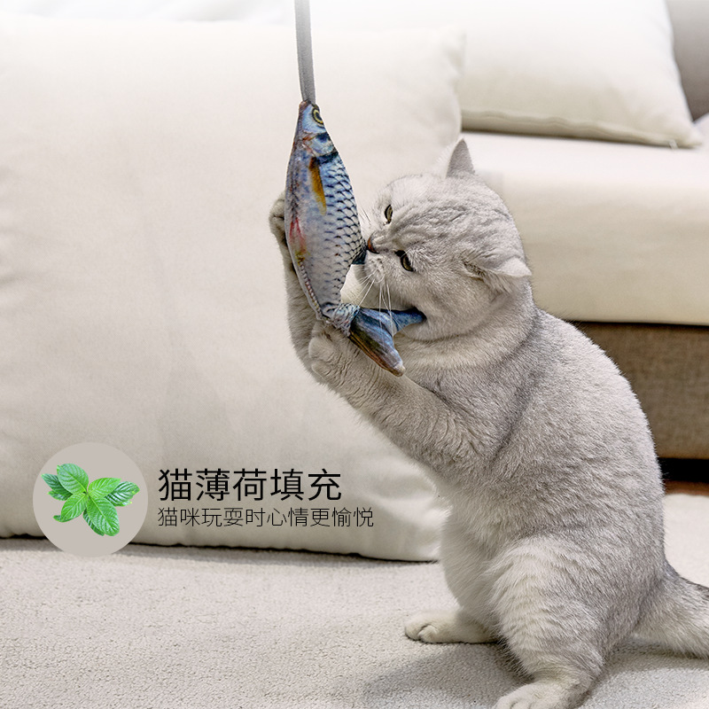 Grappig elektrisch bewegend vi - Electric Floppy Fish Dog Toy recensie en prijs