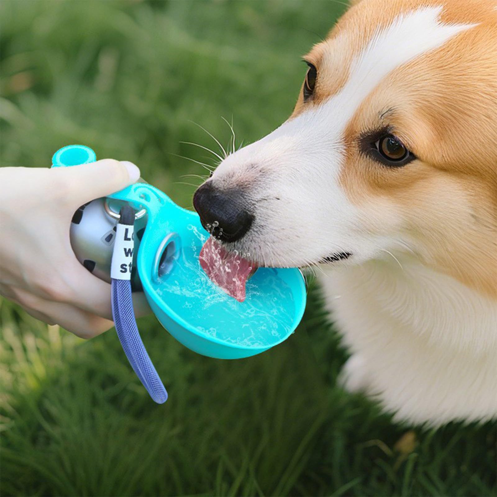 ACG Goods Draagbare Siliconen  - Pet Feeders recensie en prijs