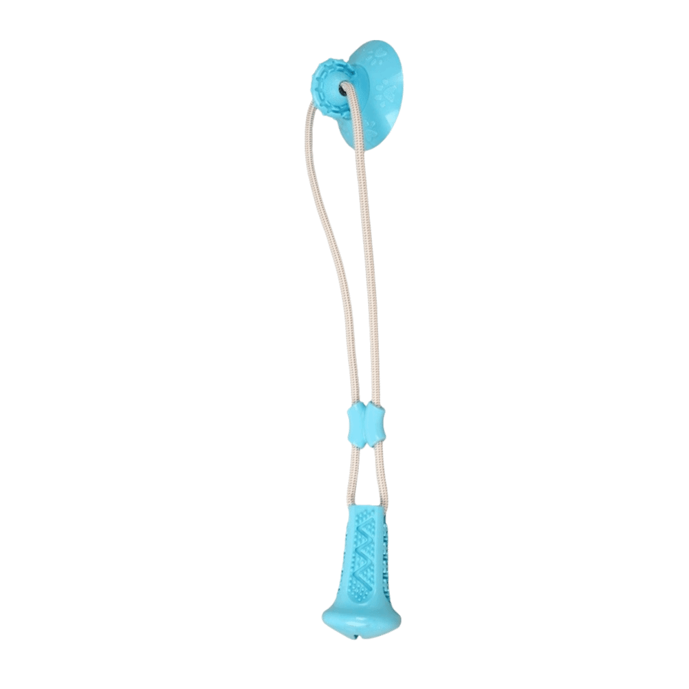 Bijtbestendige hondenspeelgoed - Suction Cup Dog Tug Toy recensie en prijs
