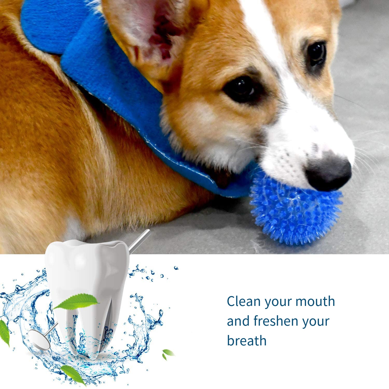 Hondenspeelgoed Geluidsspeeltj - Suction Cup Dog Tug Toy recensie en prijs