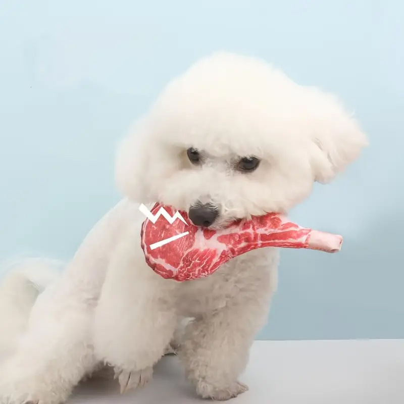 Gesimuleerd Steak Piepend Hond - Teeth Cleaning Dog Chew Bone recensie en prijs