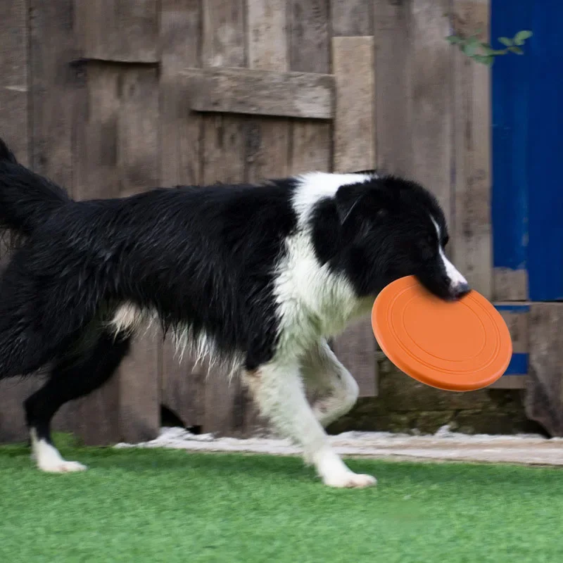 Siliconen Vliegende Schotel Gr - Flying Disc Dog Training Toy recensie en prijs