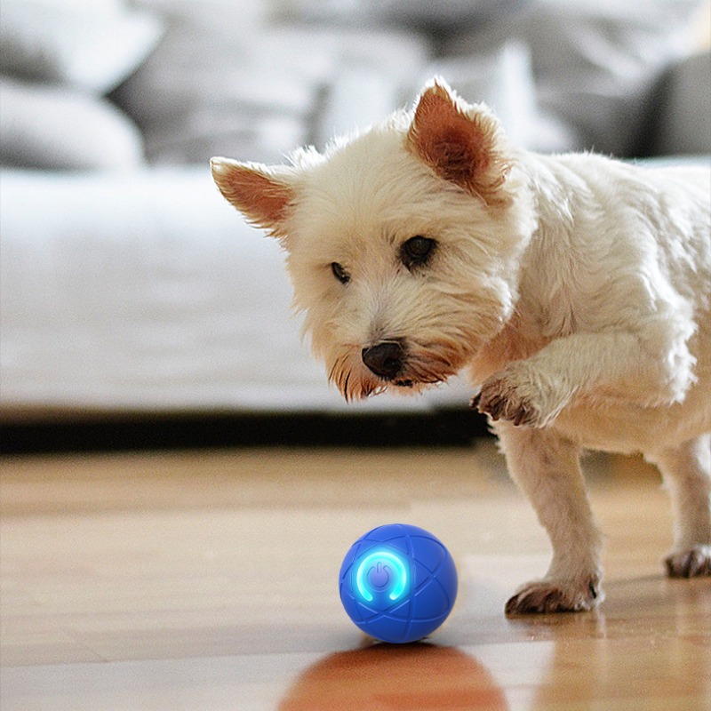 Slimme hondenspeelgoedbal USB  - Automatic Moving Dog Ball recensie en prijs
