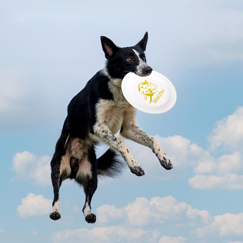 Ouzey Bijtbestendig Huisdier T - Flying Disc Dog Training Toy recensie en prijs