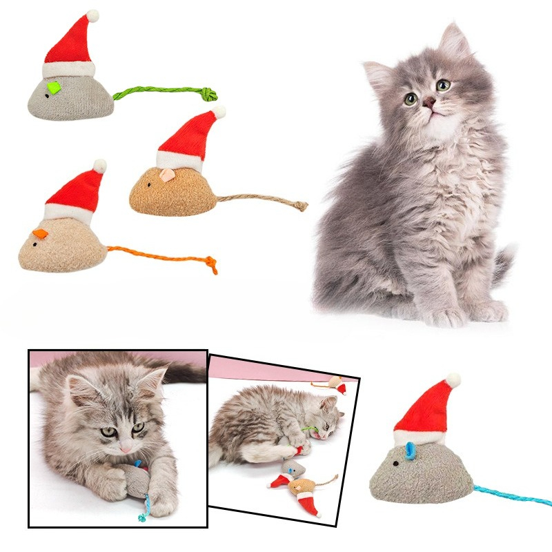 5 stks Kat Push Kauwspeeltje K - Catnip Interactive Plush Mouse recensie en prijs