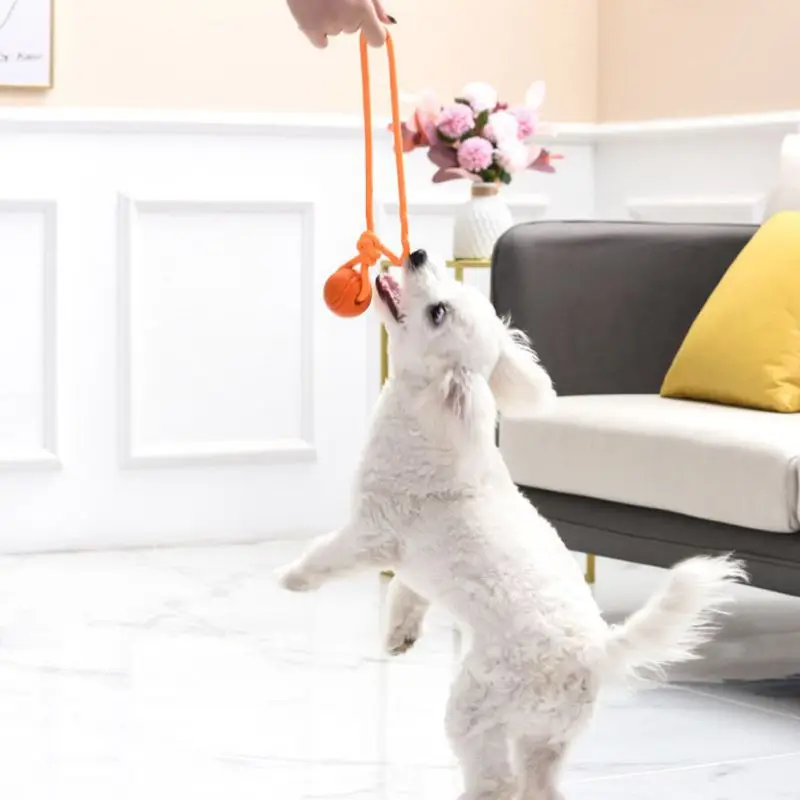 Honden Trainingsbal Op Touw Ka - Suction Cup Dog Tug Toy recensie en prijs