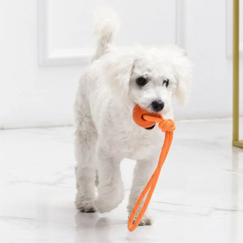 Honden Trainingsbal Op Touw Ka - Suction Cup Dog Tug Toy recensie en prijs