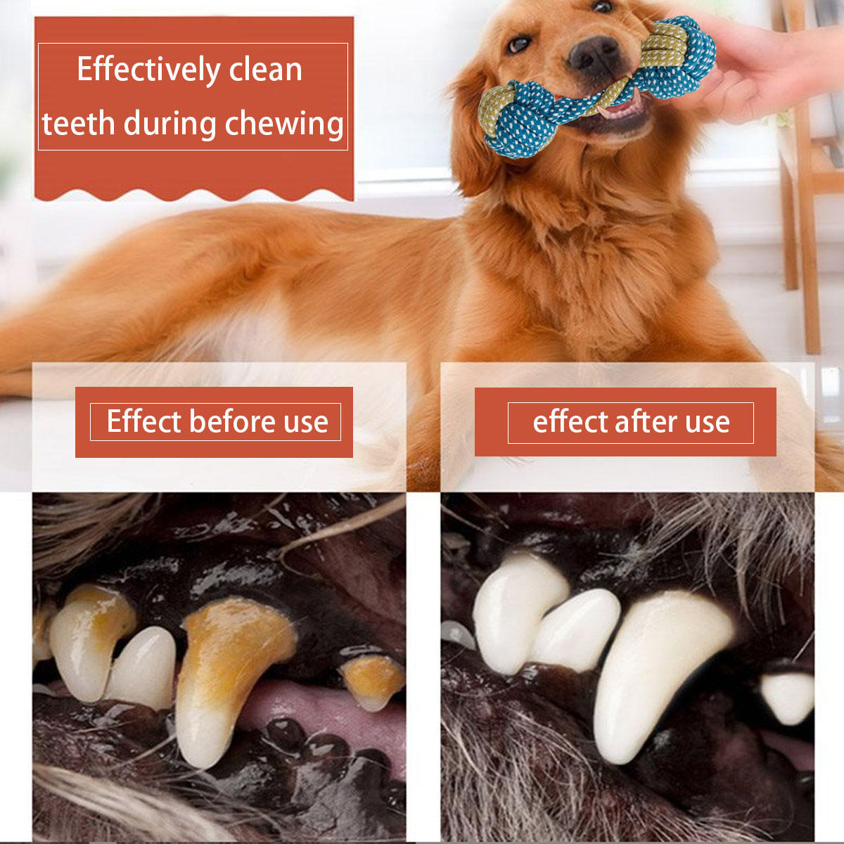 Nieuwe 7PCS Hond Puppy Dubbele - Teeth Cleaning Dog Chew Bone recensie en prijs