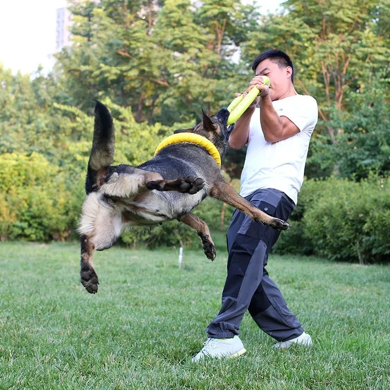 Honden Speelgoed Huisdier Vlie - Suction Cup Dog Tug Toy recensie en prijs