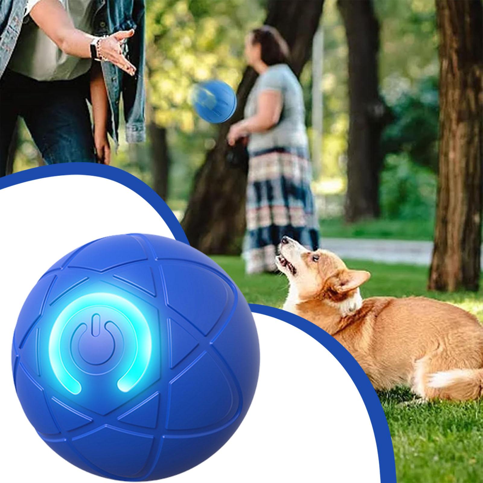 1 st. Automatisch bewegende ho - Automatic Moving Dog Ball recensie en prijs