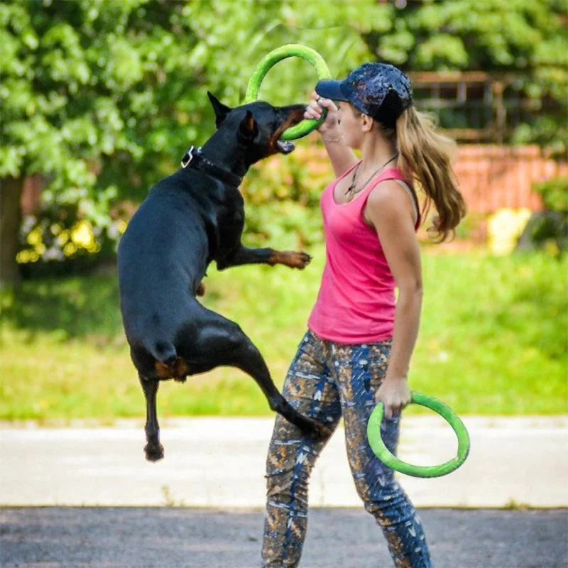 Hondenspeelgoed Vliegende schi - Flying Disc Dog Training Toy recensie en prijs