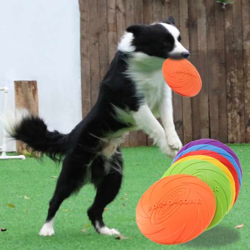 Interactief siliconen vliegend - Flying Disc Dog Training Toy recensie en prijs