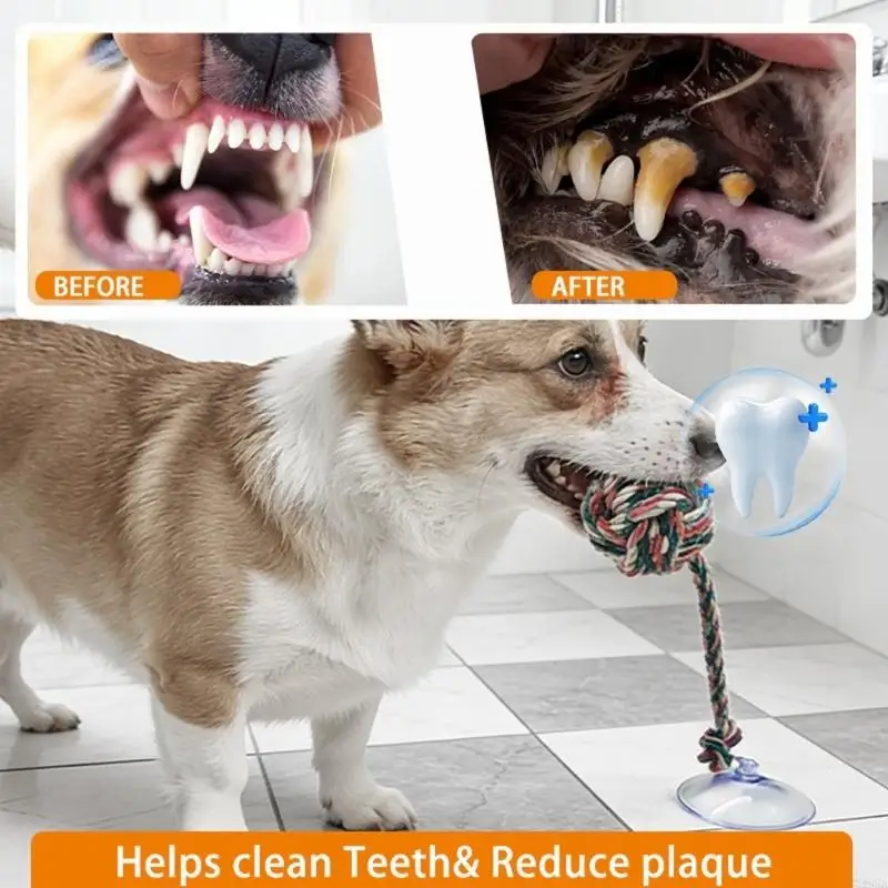 Leuk veilig hondenkauwspeeltje - Suction Cup Dog Tug Toy recensie en prijs