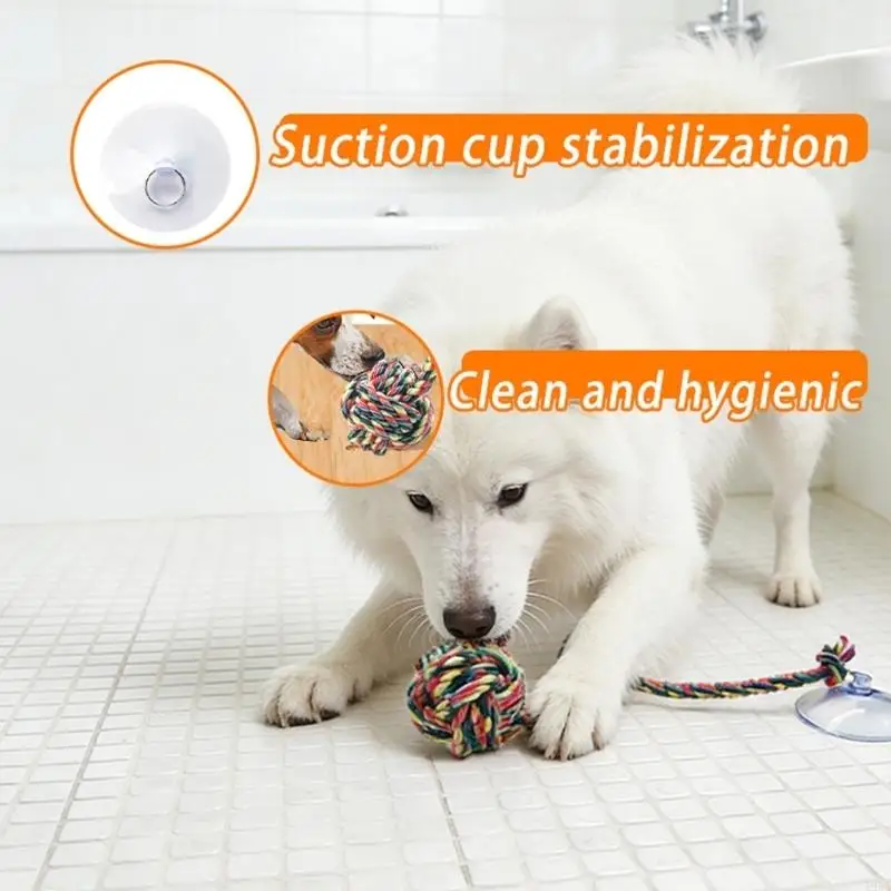 Leuk veilig hondenkauwspeeltje - Suction Cup Dog Tug Toy recensie en prijs