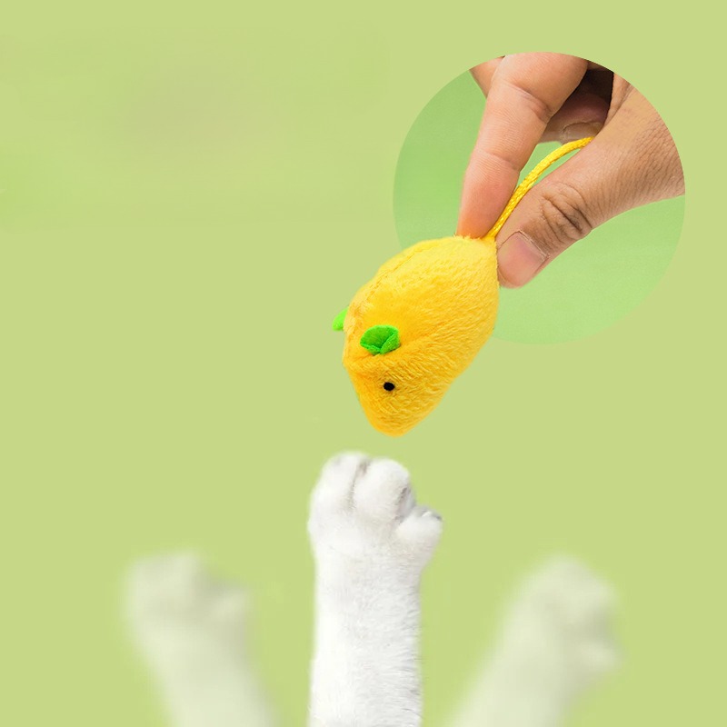 Interactieve kattenmuizen spee - Catnip Interactive Plush Mouse recensie en prijs