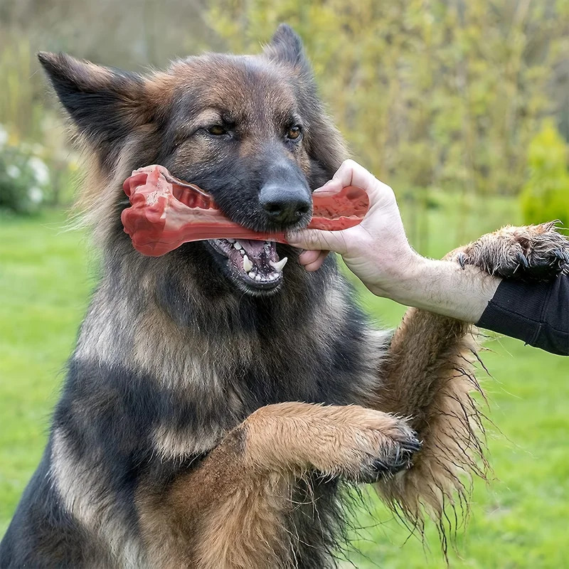 Supersterk, onverwoestbaar kau - Teeth Cleaning Dog Chew Bone recensie en prijs