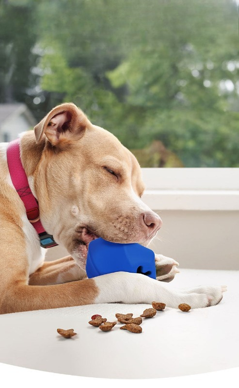 Duurzame rubberen hondenspeelg - Rubber Treat Dispensing Dog Toy recensie en prijs