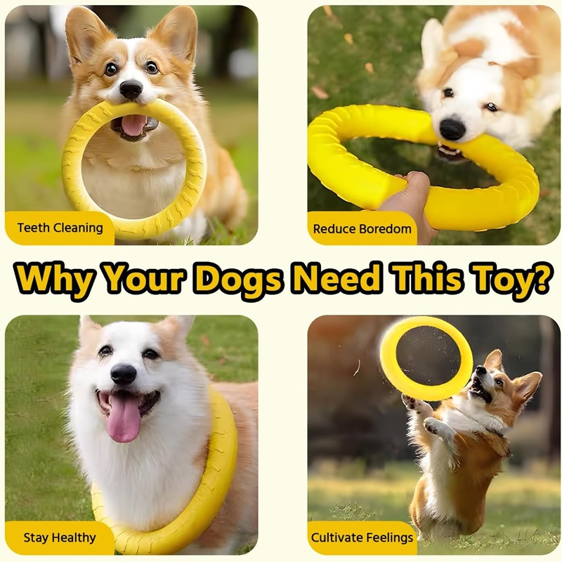 Hondenspeelgoed, vliegende sch - Suction Cup Dog Tug Toy recensie en prijs