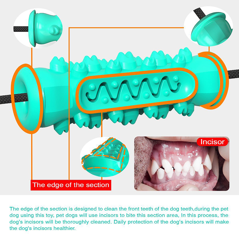 Dubbele Zuignap Hondenspeelgoe - Suction Cup Dog Tug Toy recensie en prijs