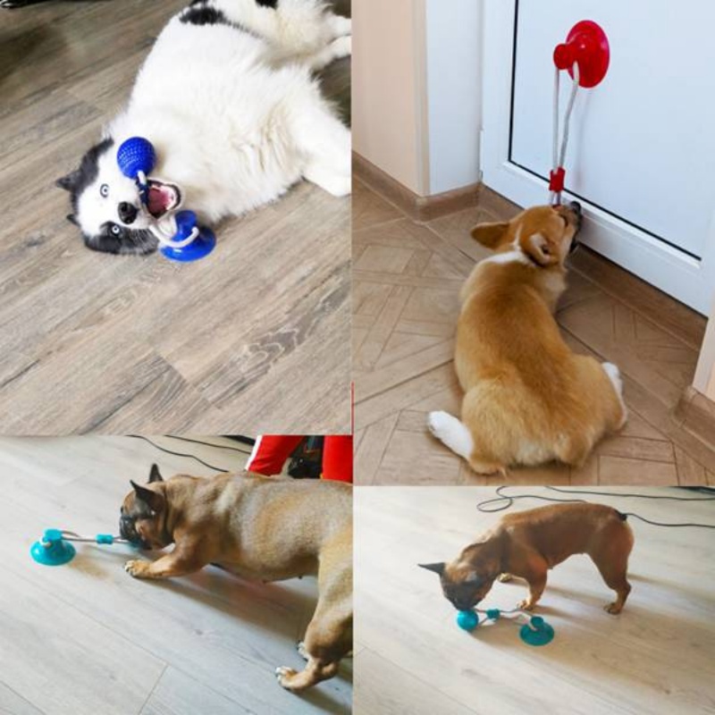 Duurzame zuignap hondentuigspe - Suction Cup Dog Tug Toy recensie en prijs