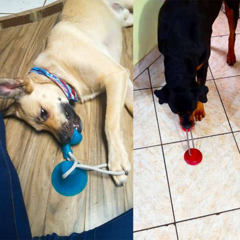 Duurzame zuignap hondentuigspe - Suction Cup Dog Tug Toy recensie en prijs