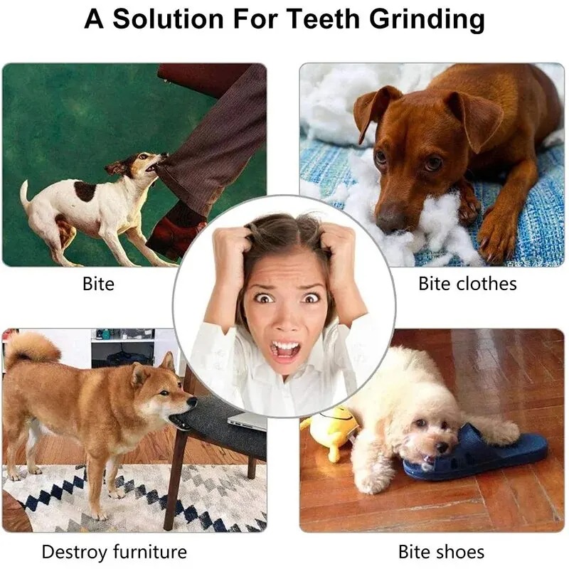 1 Stuks Hondenspeelgoed Bal In - Rubber Treat Dispensing Dog Toy recensie en prijs