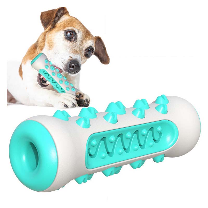 TPR Hondenkaarsenstick Duurzam - Teeth Cleaning Dog Chew Bone recensie en prijs