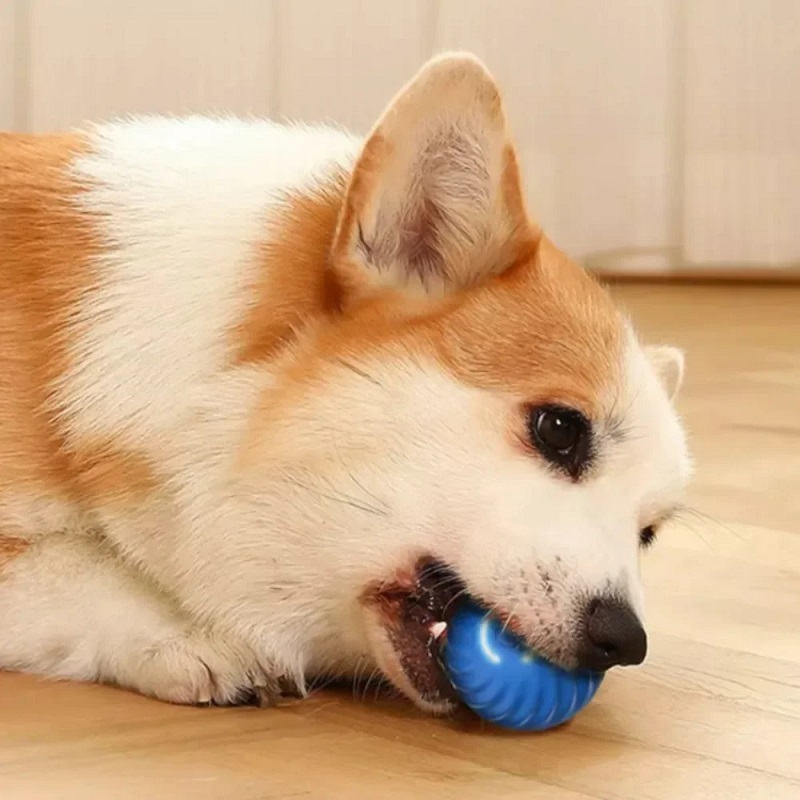 Automatische bewegende hondens - Automatic Moving Dog Ball recensie en prijs
